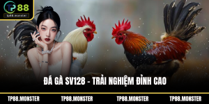 đá gà SV128