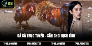 Đá gà trực tuyến